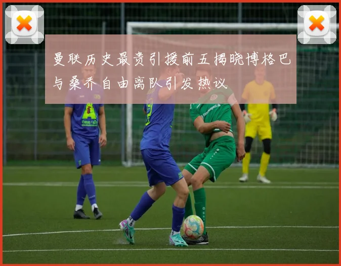 曼联历史最贵引援前五揭晓博格巴与桑乔自由离队引发热议